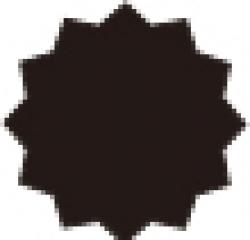 ＊＊5PCS　12角ビットセット