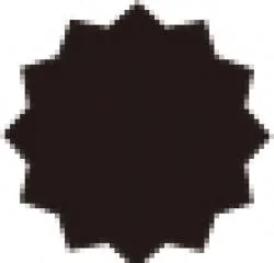 **5PCS 12角ビットセット