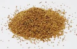 くるみブラスト(レンタル商品)